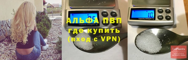 прущие грибы Долгопрудный