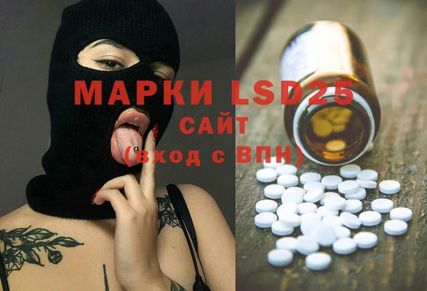 гашик Майский