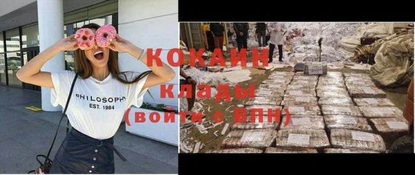 гидра Магас