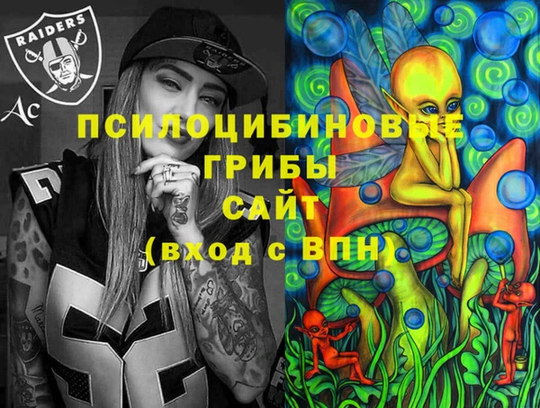 гидра Магас