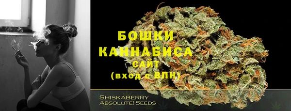 гидра Магас