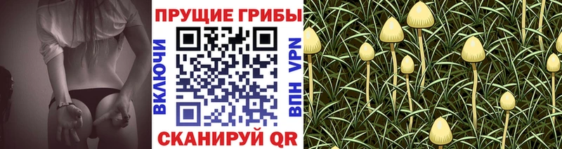 Галлюциногенные грибы MAGIC MUSHROOMS  Томмот 