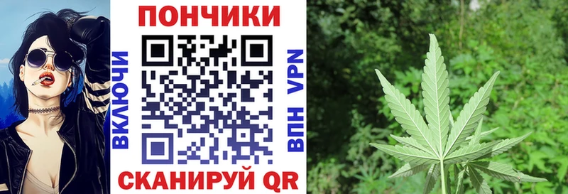 Шишки марихуана MAZAR Томмот
